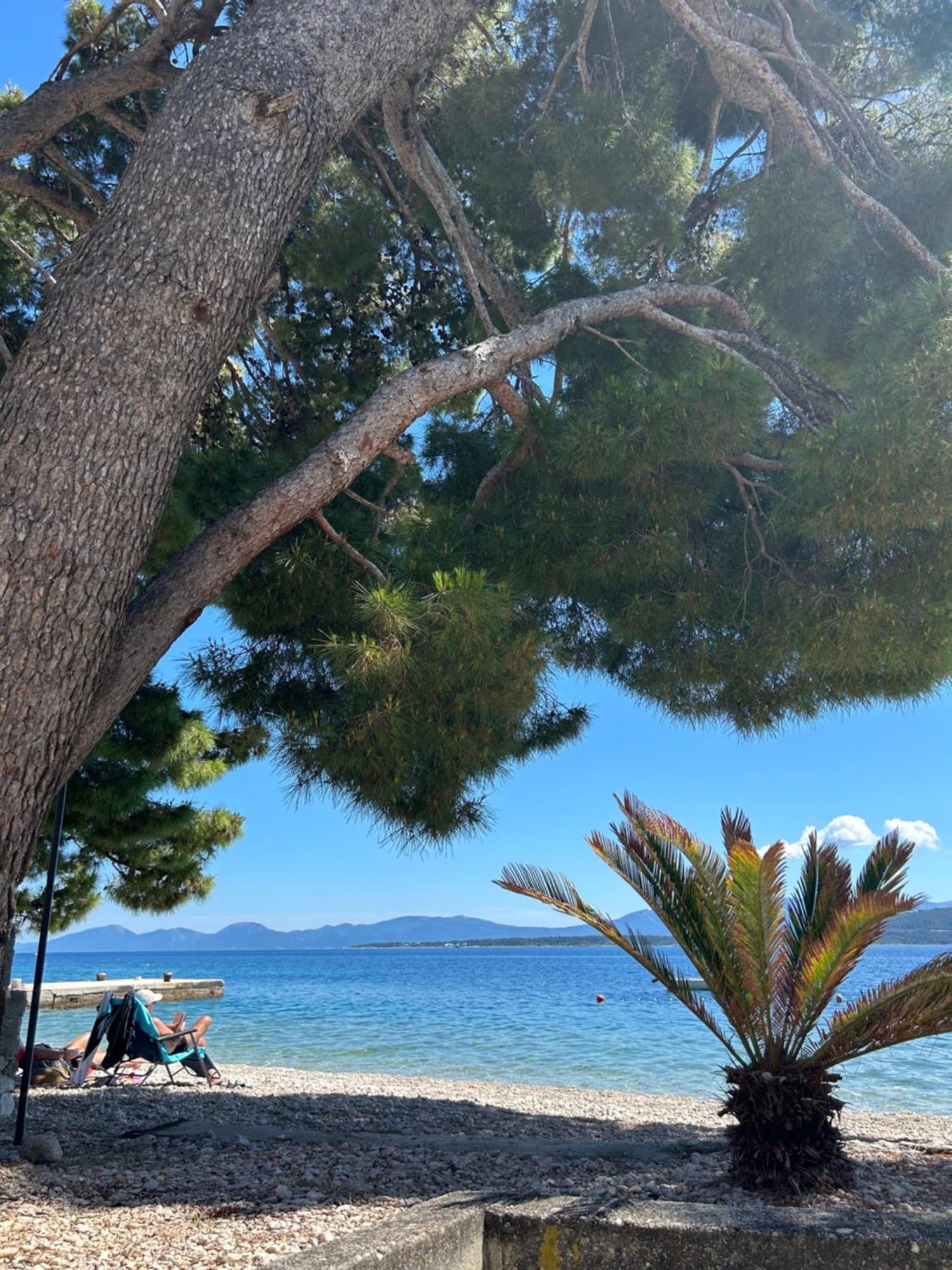 Sobe Gorana Hotel Živogošće Buitenkant foto