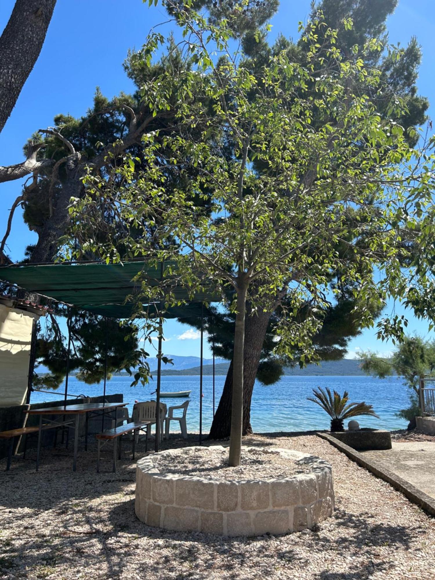 Sobe Gorana Hotel Živogošće Buitenkant foto